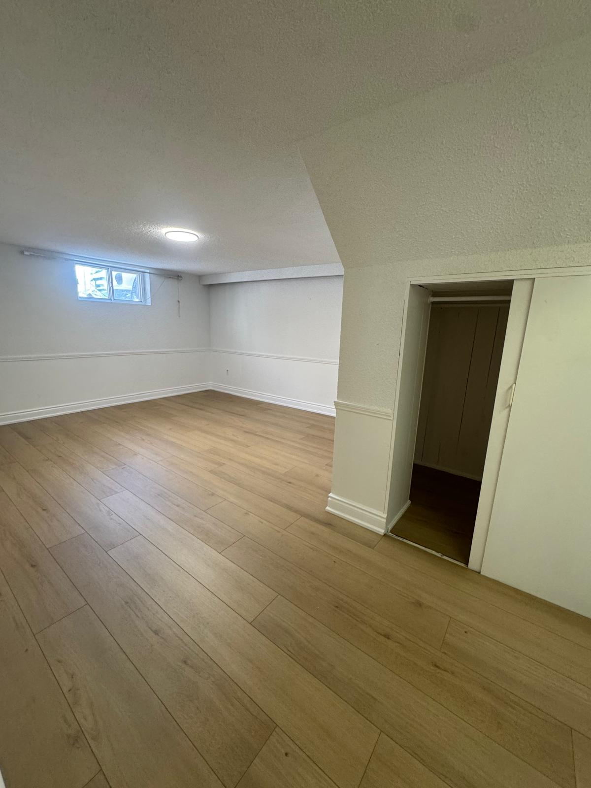 Light oak vinyl plank flooring in basement